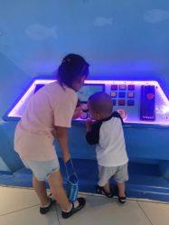 -宝贝王(天津滨海店)