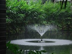 -广州兰圃