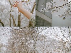 -上海辰山植物园