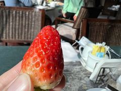 -上海外滩悦榕庄酒店