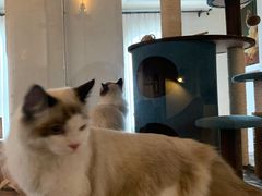 -Me Coffee下午茶艺术空间