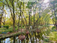 -上海共青森林公园