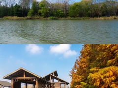 -溱湖国家湿地公园