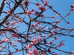 -迎泽公园