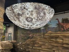 -辽宁古生物博物馆