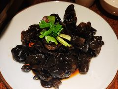 凉拌木耳-绿茶餐厅(华联万柳店)