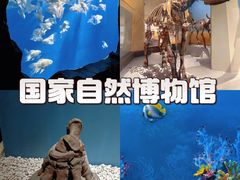-国家自然博物馆