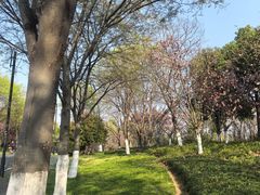-东湖落雁景区