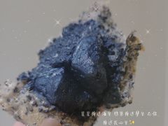 -熊叔熊婶面包房(团结湖店)