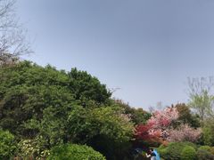 -桃花岛景观公园