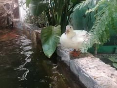 -上海大自然野生昆虫馆(东方明珠·爬宠昆虫探索中心)