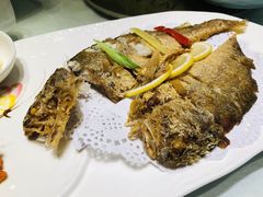 -骏莱海鲜鱼港(五角场店)
