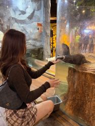 -Zoolung Zoolung动物主题公园(海信广场店)