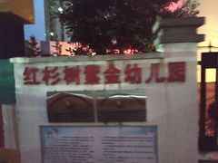 -红杉树紫金幼儿园