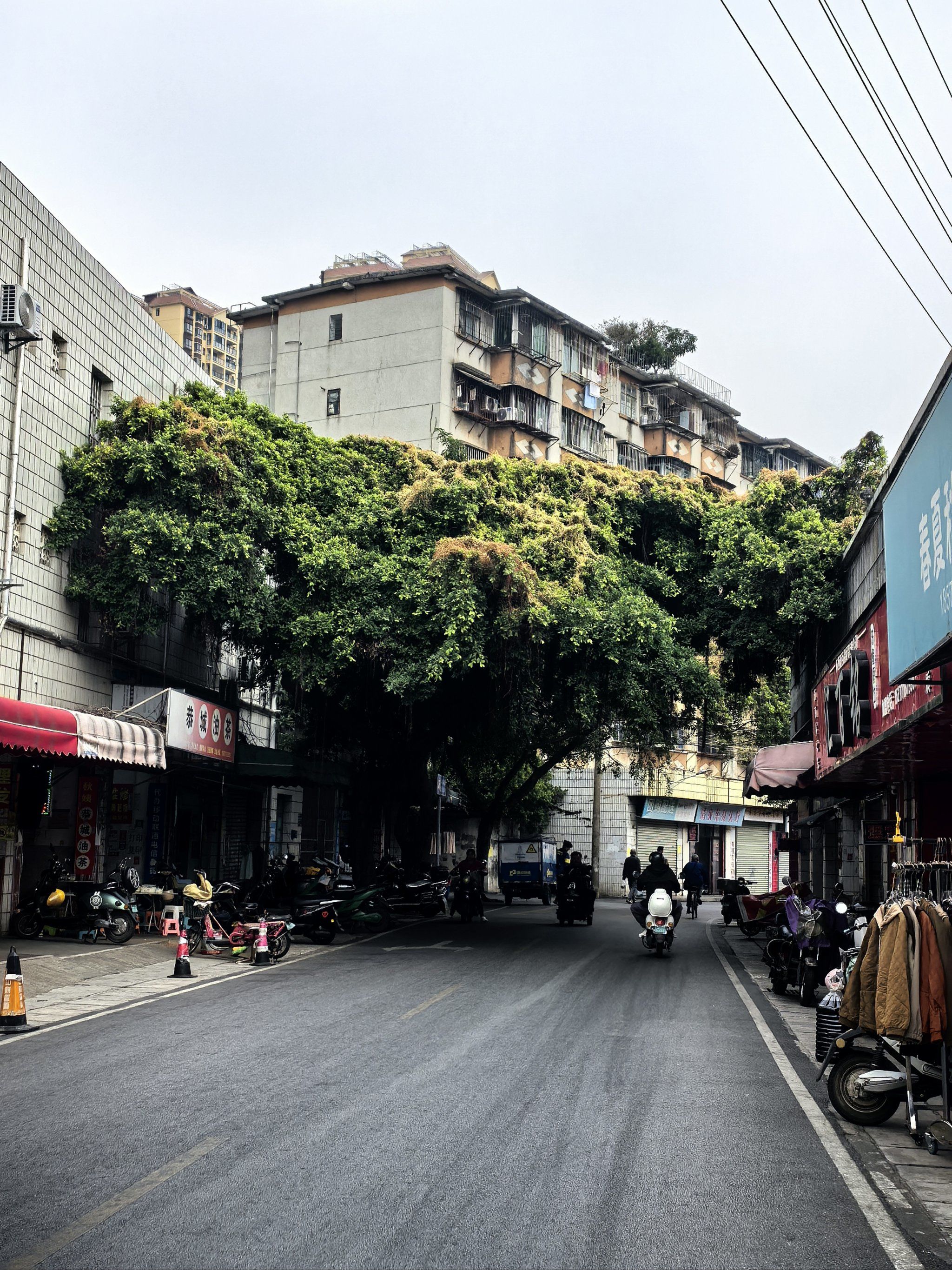 巷子里的记忆之旅