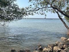 -宝安西湾红树林湿地公园