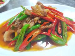 -大班家政月嫂育儿嫂(广州NO.1店)