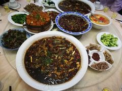 -西木兔(大圆祥店)