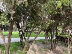 -西安交大南洋大酒店(交通大学青龙寺店)