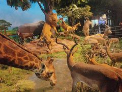 -国家自然博物馆