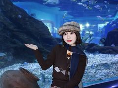 -海合安武汉极地海洋公园