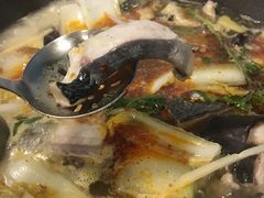 -鸭嘴鱼