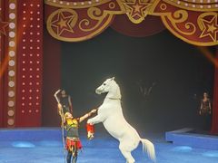 -珠海横琴长隆《卡卡虎奇遇记》