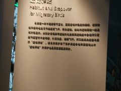 -上海长江河口科技馆