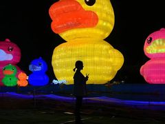 -欢乐海岸椰林沙滩-2025湾区超级灯会