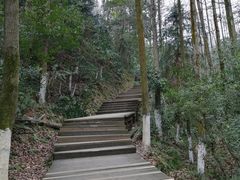 -云碧峰国家森林公园