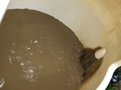 -100蛋泥浆浴