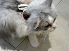 -怪兽屋·羊驼·猫咖·狗咖(俊华广场店)