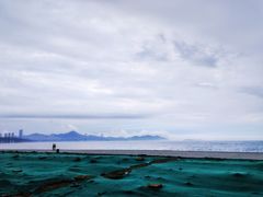 -星海湾跨海大桥