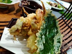 -森味薪火烧•烧鸟居酒屋•日本料理(望京店)