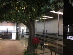 -圣典成人钢琴俱乐部(国贸旗舰校区)