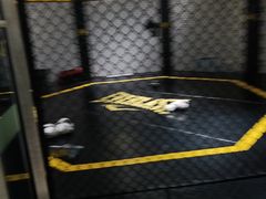 -FLARE STAR FITNESS(复地活力城店)