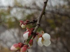 -水濂山水库景点停车场