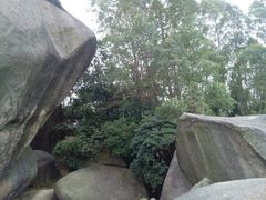 -火炉山森林公园