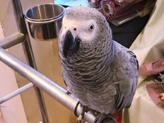 -森野花艺培训·企业团建活动沙龙