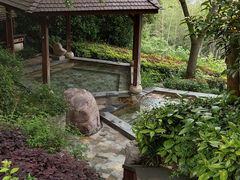 -天目湖涵田半山温泉