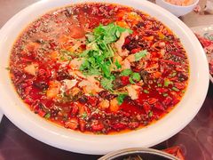 椒麻鱼-新繁老號豌豆汤饭店·江湖菜(宝光寺店)