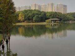 -白塘生态植物园