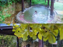 -山湖温泉