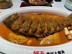 -阿五黄河大鲤鱼(海尚店)