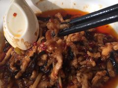 鱼香肉丝-北京全聚德(西客站店)