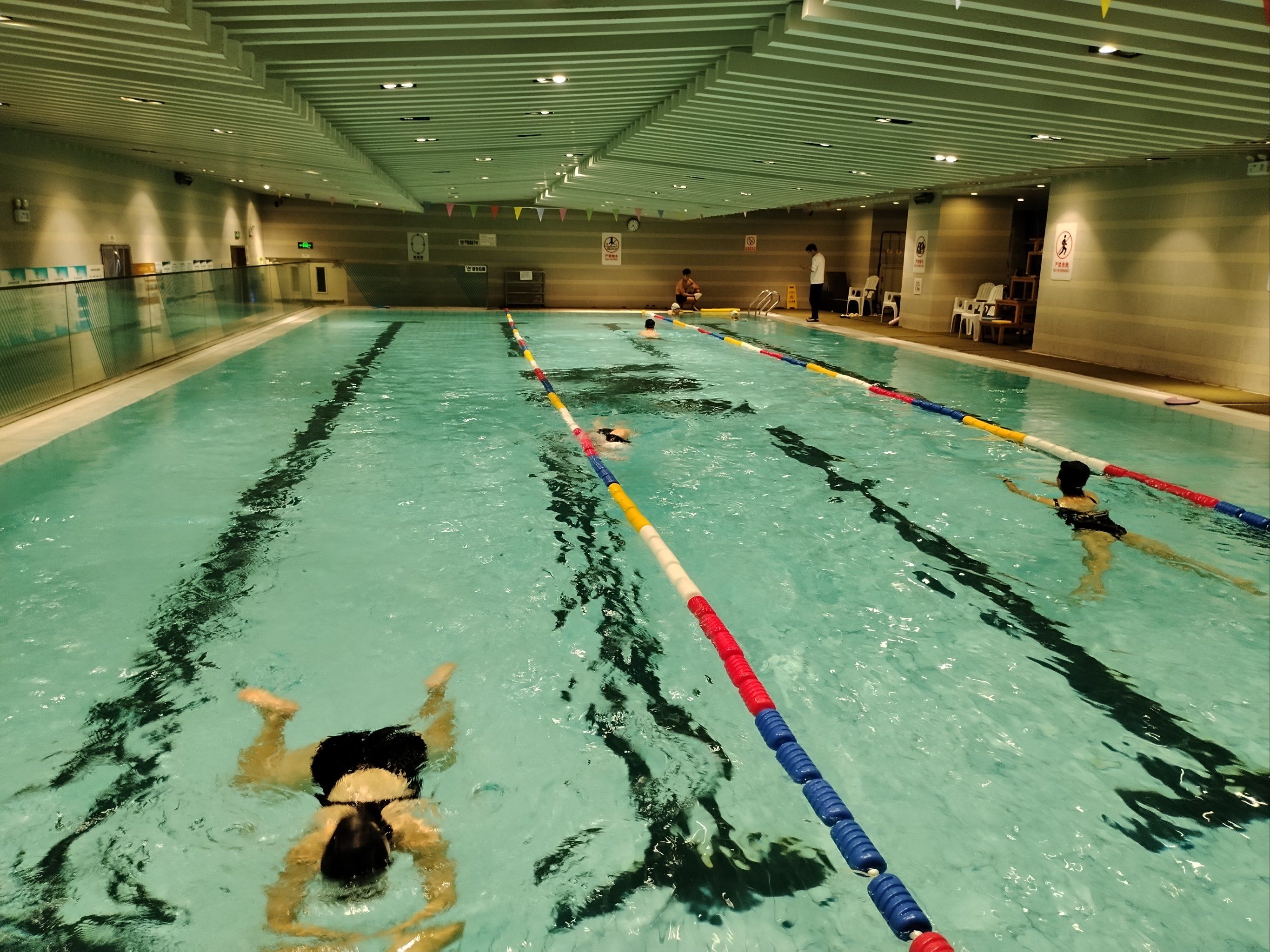 游泳的夜间模式