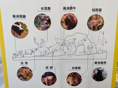 -正佳自然科学博物馆