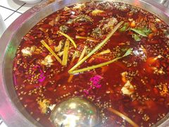 -蛙一刀·麻椒鱼火锅(金仙桥店)