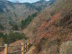 -木兰云雾山