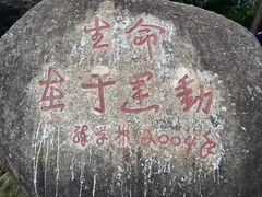 -火炉山森林公园